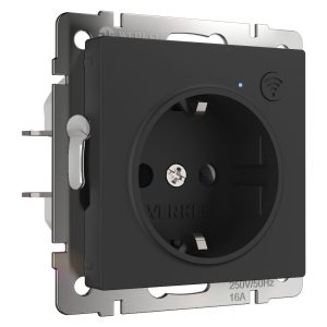 Умная встраиваемая розетка Werkel с Wifi, заземлением и защитными шторками Черный матовый W1171608