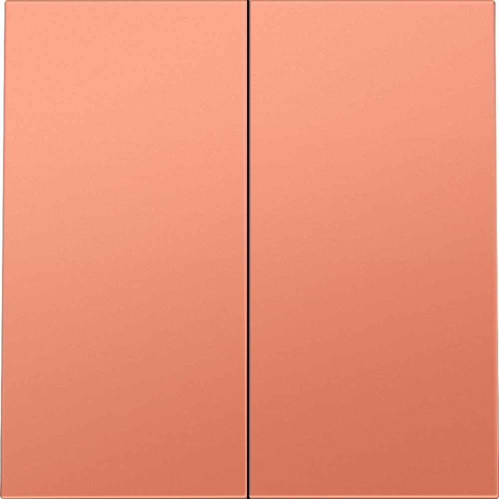 Выключатель двухклавишный встраиваемый Donel R98 Коралл матовый DA10500-DA29545 — изображение 2