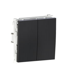 Выключатель двухклавишный встраиваемый проходной Donel R98 Metal Вороненая сталь DA10800-DA295GS