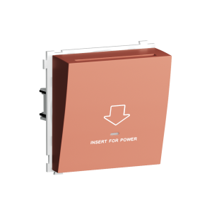 Выключатель электронный карточный встраиваемый Donel R98 Коралл матовый DA14000-DA59045