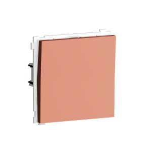 Выключатель одноклавишный встраиваемый Donel R98 звонкового типа Коралл матовый DA15100-DA29645