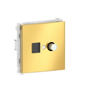 Розетка встраиваемая комбинированная Donel R98 Metal RJ45 + SAT Золото матовое DA30600-DA889BR